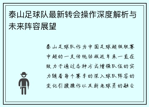 泰山足球队最新转会操作深度解析与未来阵容展望